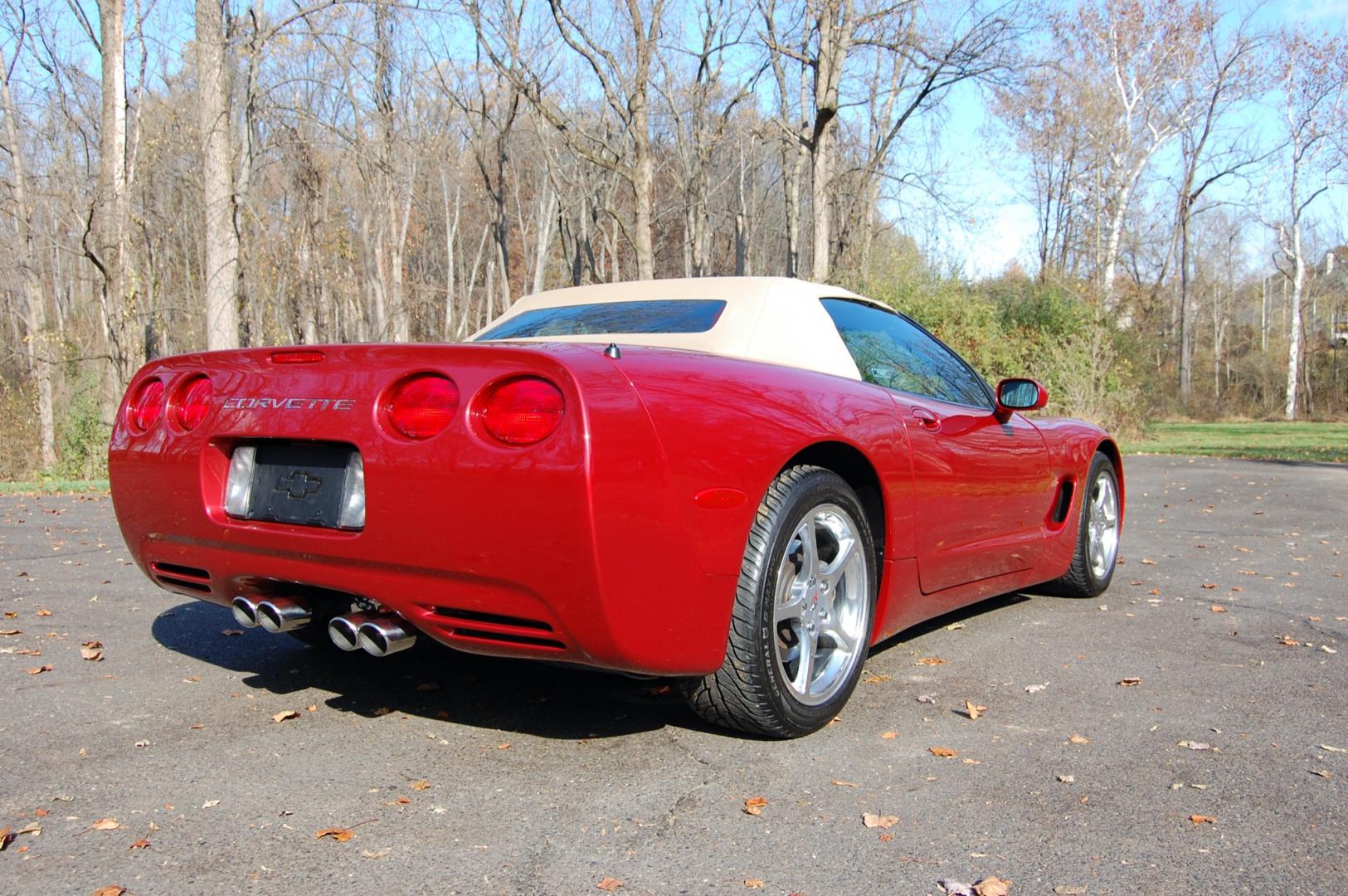 1998 Burgundy /Beige Leather Chevrolet Corvette (1G1YY32G9W5) with an 5.7 liter V8 engine, Automatic transmission, located at 6528 Lower York Road, New Hope, PA, 18938, (215) 862-9555, 40.358707, -74.977882 - Photo#6